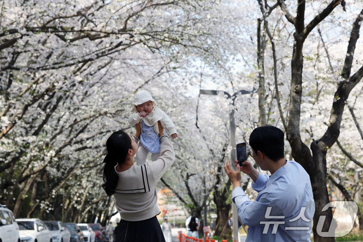 7일 오후 광주 북구 운암동 중외공원에 상춘객들이 만개한 벚꽃을 배경으로 사진을 남기고 있다. 2025.4.7/뉴스1 ⓒ News1 박지현 기자
