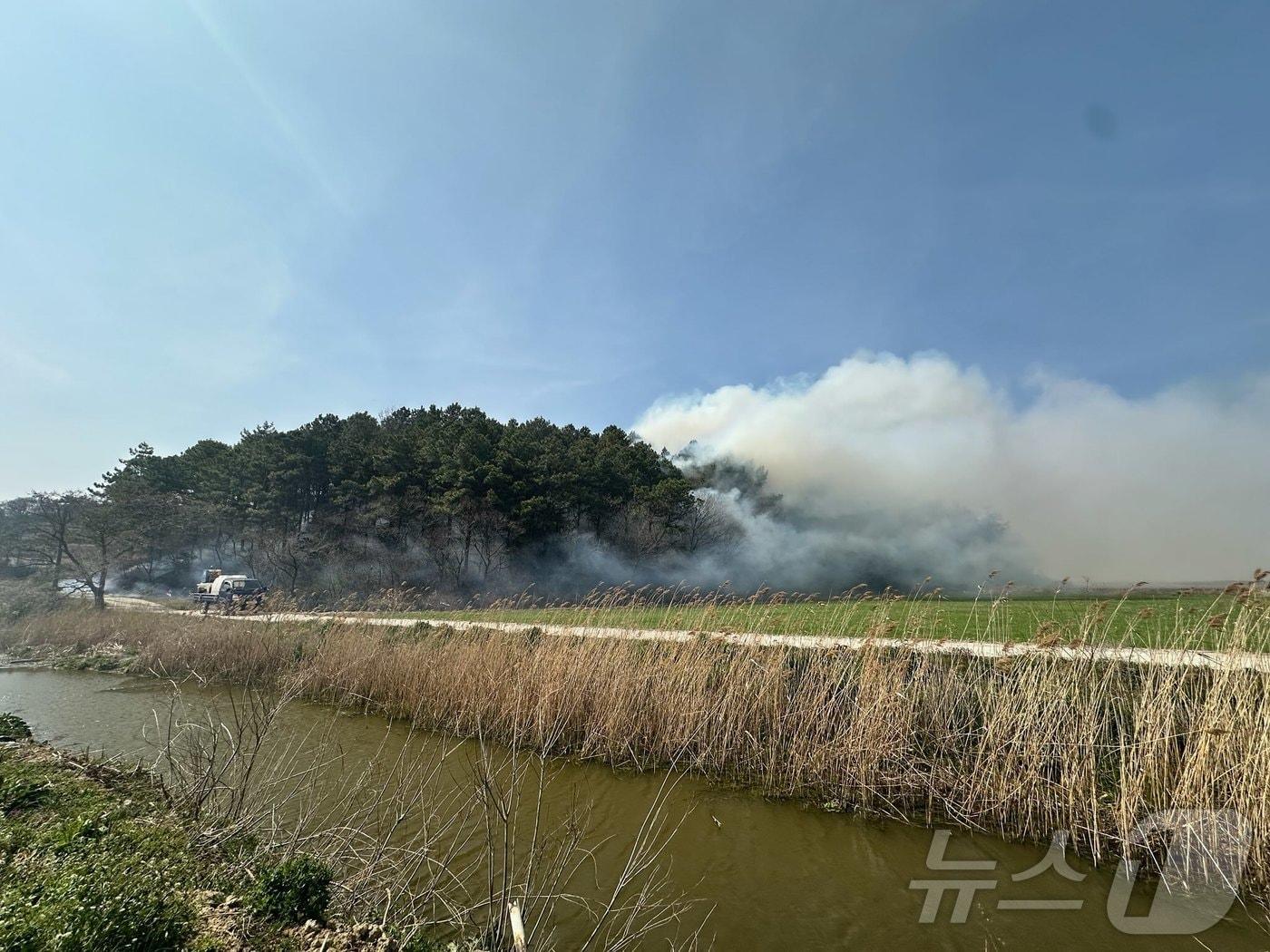 본문 이미지 - 7일 오후 2시 7분쯤 전남 무안군 해제면 광산리의 한 야산에서 불이 나 연기가 피어오르고 있다. (전남도 제공. 재판매 및 DB 금지) 2025.4.7/뉴스1 