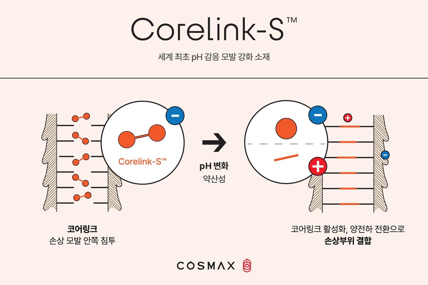 (코스맥스 제공)_