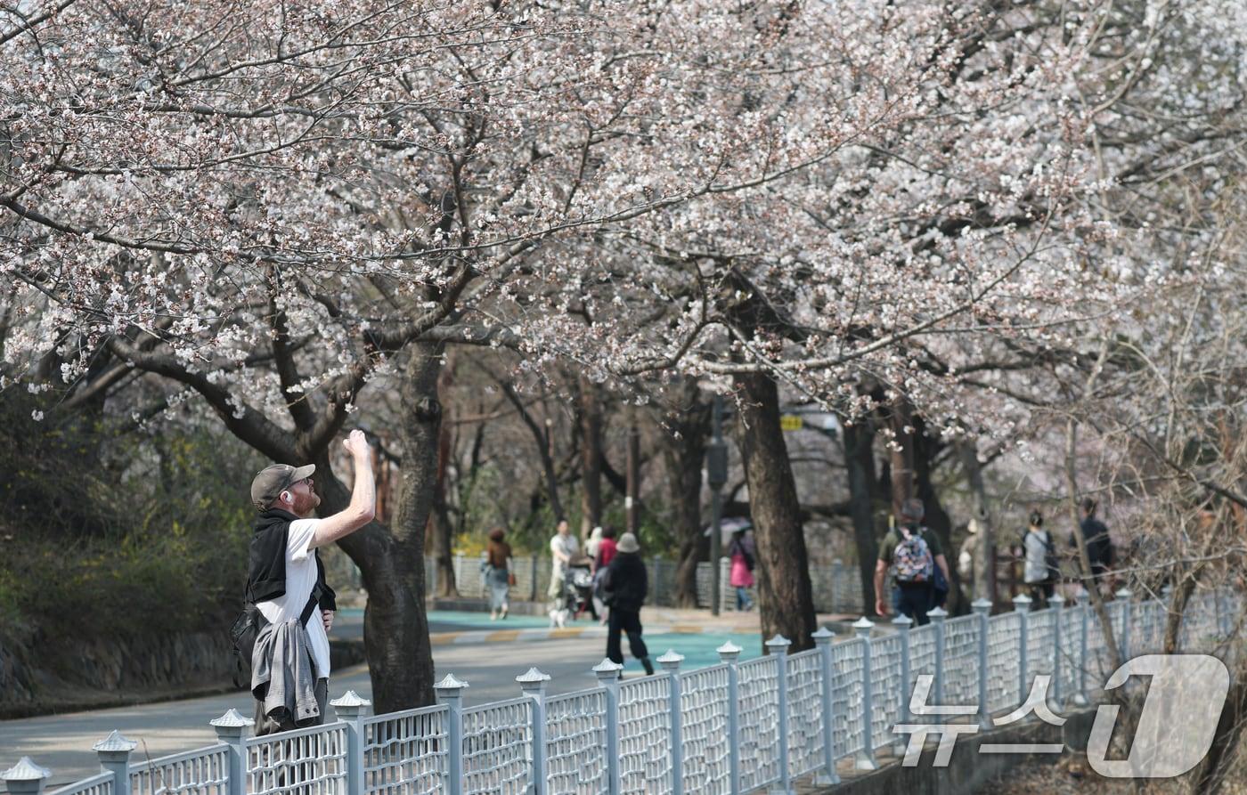 전국 낮 기온이 대체로 20도 안팎에 이르면서 포근한 날씨가 이어진 7일 오후 경기 수원시 팔달구 팔달산 산책로에서 봄꽃을 구경하며 시민들이 산책을 하고 있다. 2025.4.7/뉴스1 ⓒ News1 김영운 기자