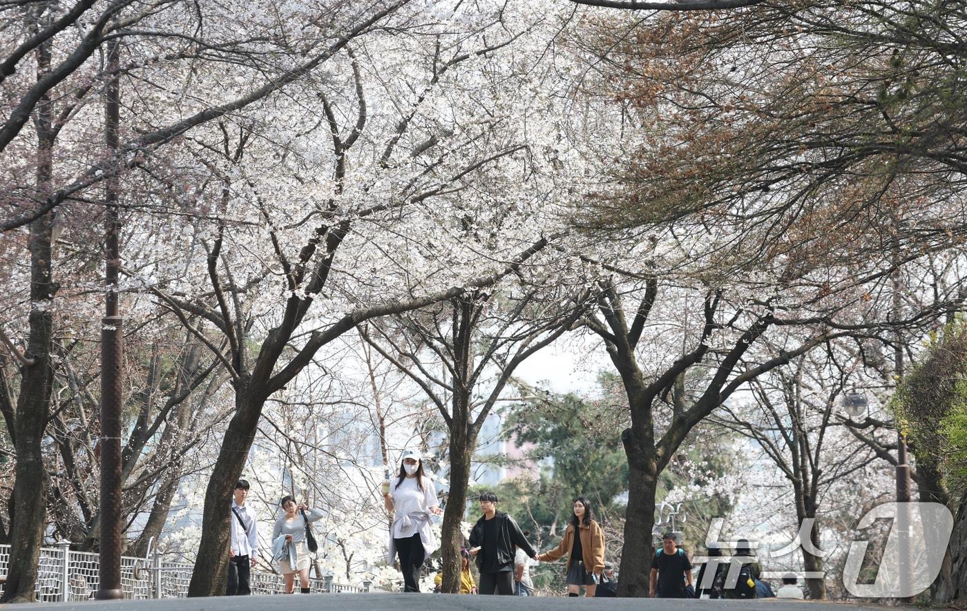 본문 이미지 - 전국 낮 기온이 대체로 20도 안팎에 이르면서 포근한 날씨가 이어진 7일 오후 경기 수원시 팔달구 팔달산 산책로에서 봄꽃을 구경하며 시민들이 산책을 하고 있다. 2025.4.7/뉴스1 ⓒ News1 김영운 기자
