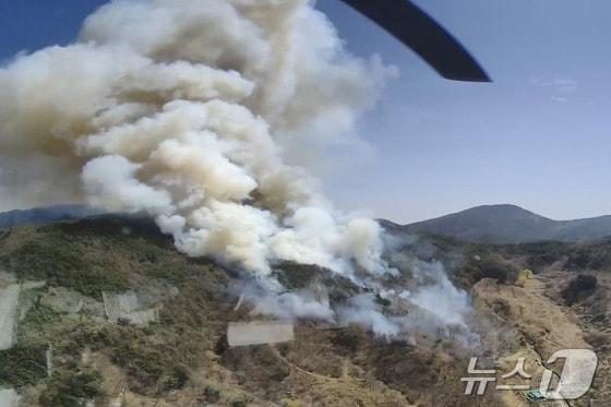 본문 이미지 - 하동 산불 현장에서 연기가 치솟고 있다.&#40;산림청 제공. 재판매 및 DB금지.&#41;