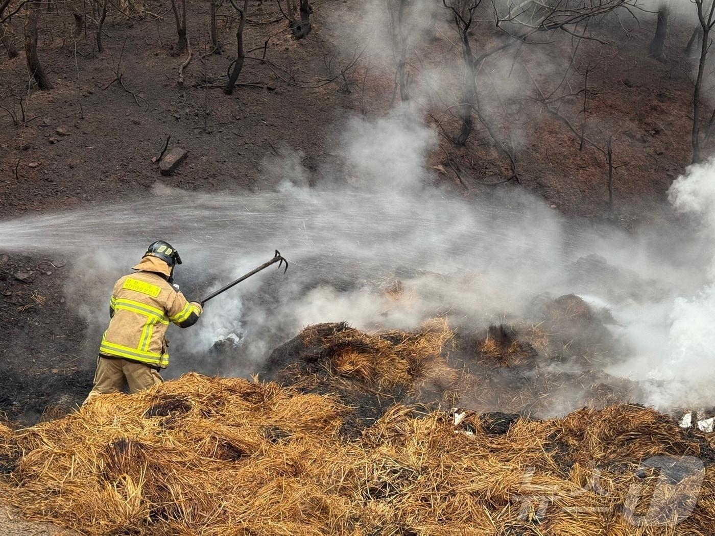 본문 이미지 - 산불현장(인천 계양소방서 김동석 소방위 제공.재판매 및 DB금지)