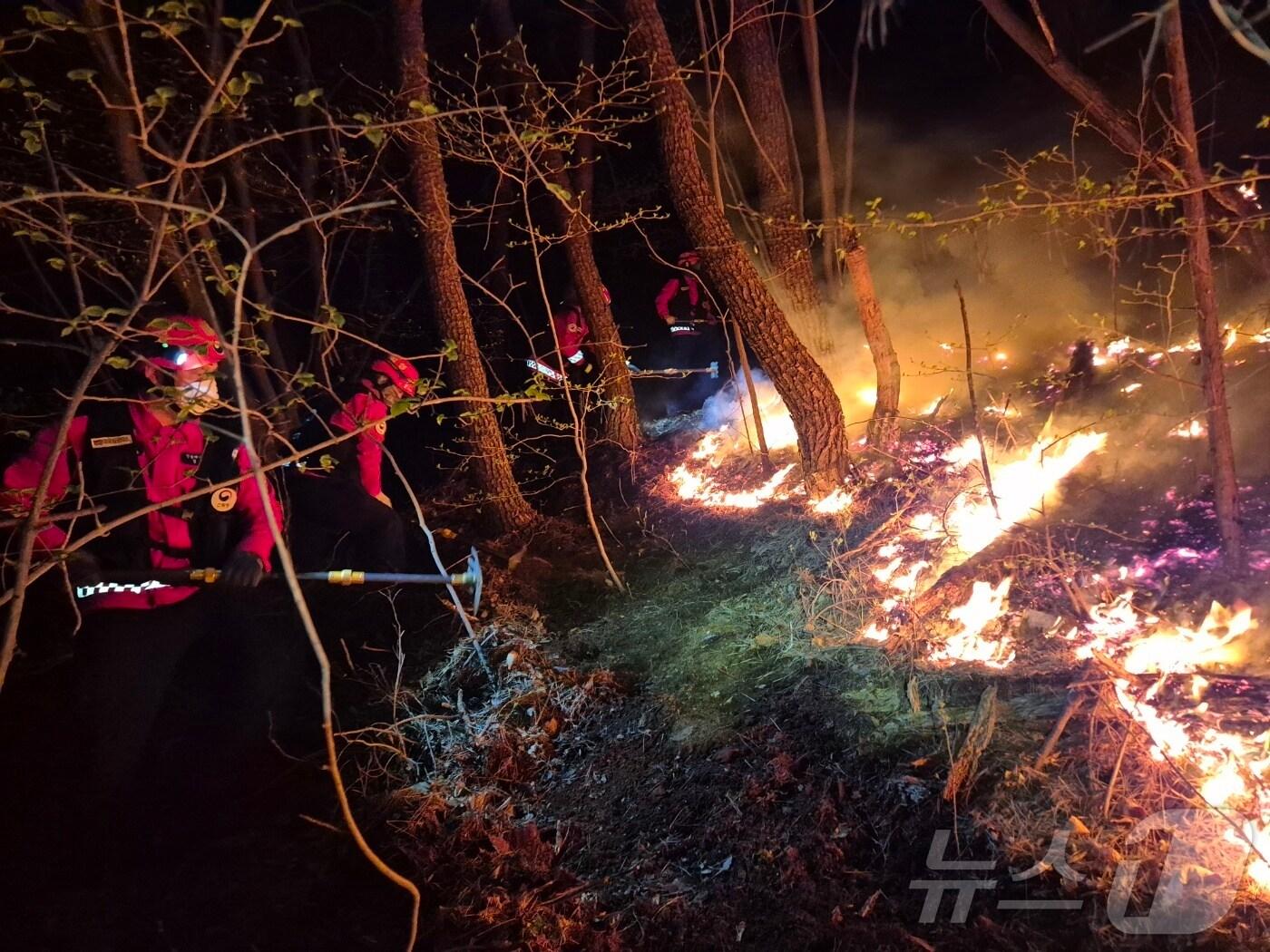 본문 이미지 - 산불진화대원들이 야간 진화 작업을 벌이고 있다.(산림청 제공. 재판매 및 DB금지.)