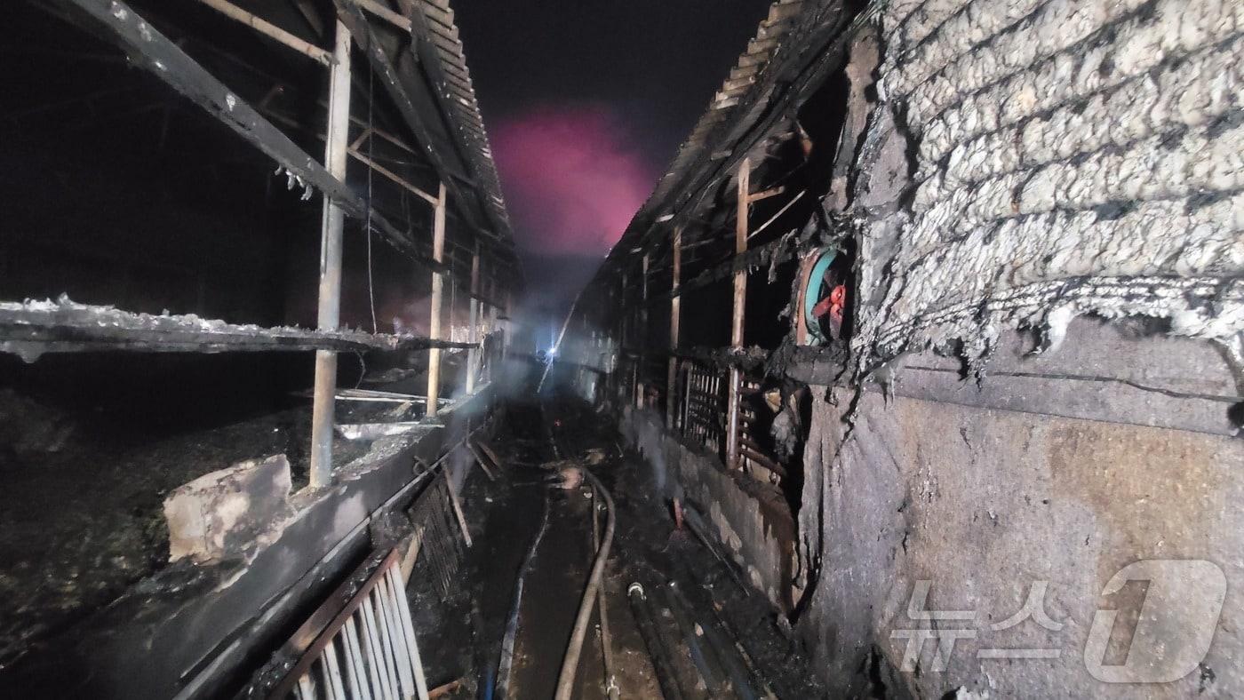 8일 오전 2시 30분쯤 양산시 원동면 화제리의 돼지농장에서 불이났다. 화재현장 모습.(경남소방본부 제공. 재판매 및 DB금지)