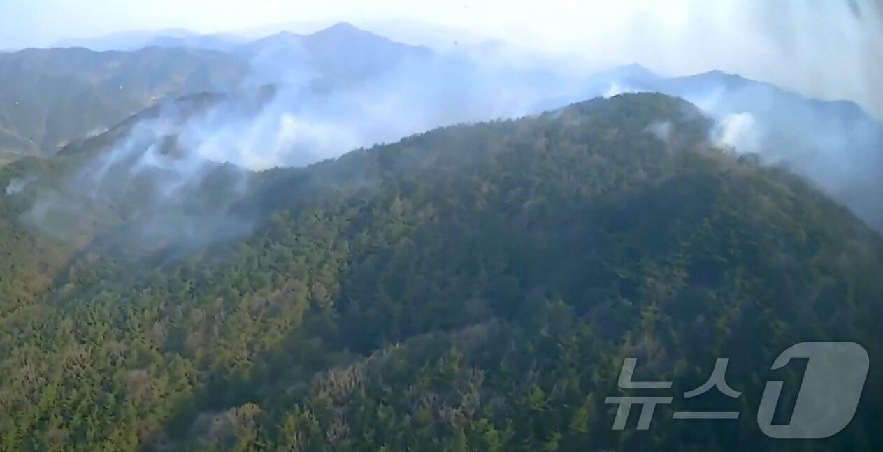본문 이미지 - 경남 하동 옥종면 산불 현장.(산림청 제공. 재판매 및 DB금지.)