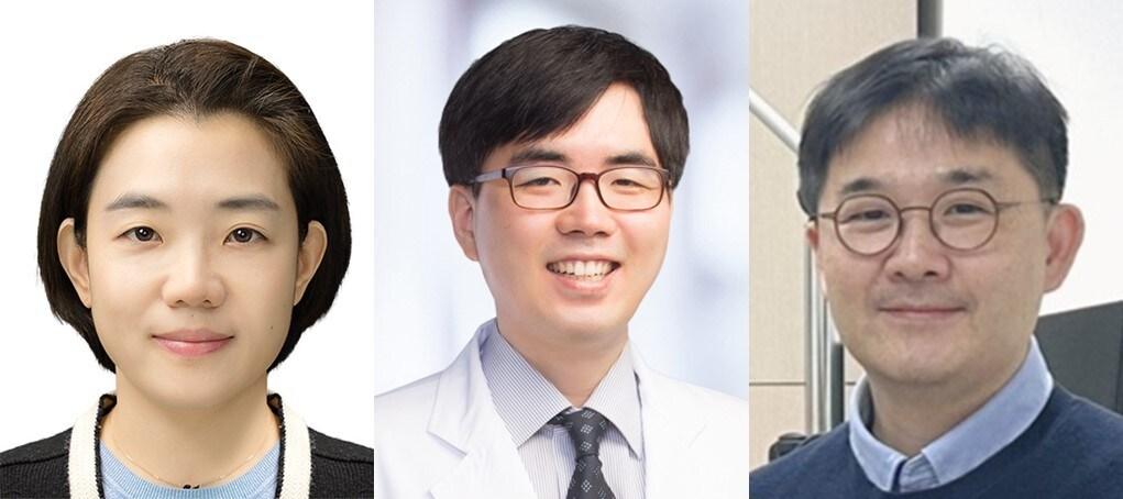본문 이미지 - 김지현 분당서울대병원 소아청소년과 교수&#40;왼쪽부터&#41;, 안요한 서울대병원 소아청소년과 교수, 정재호 서울대병원 안과 교수.&#40;분당서울대병원 제공&#41;