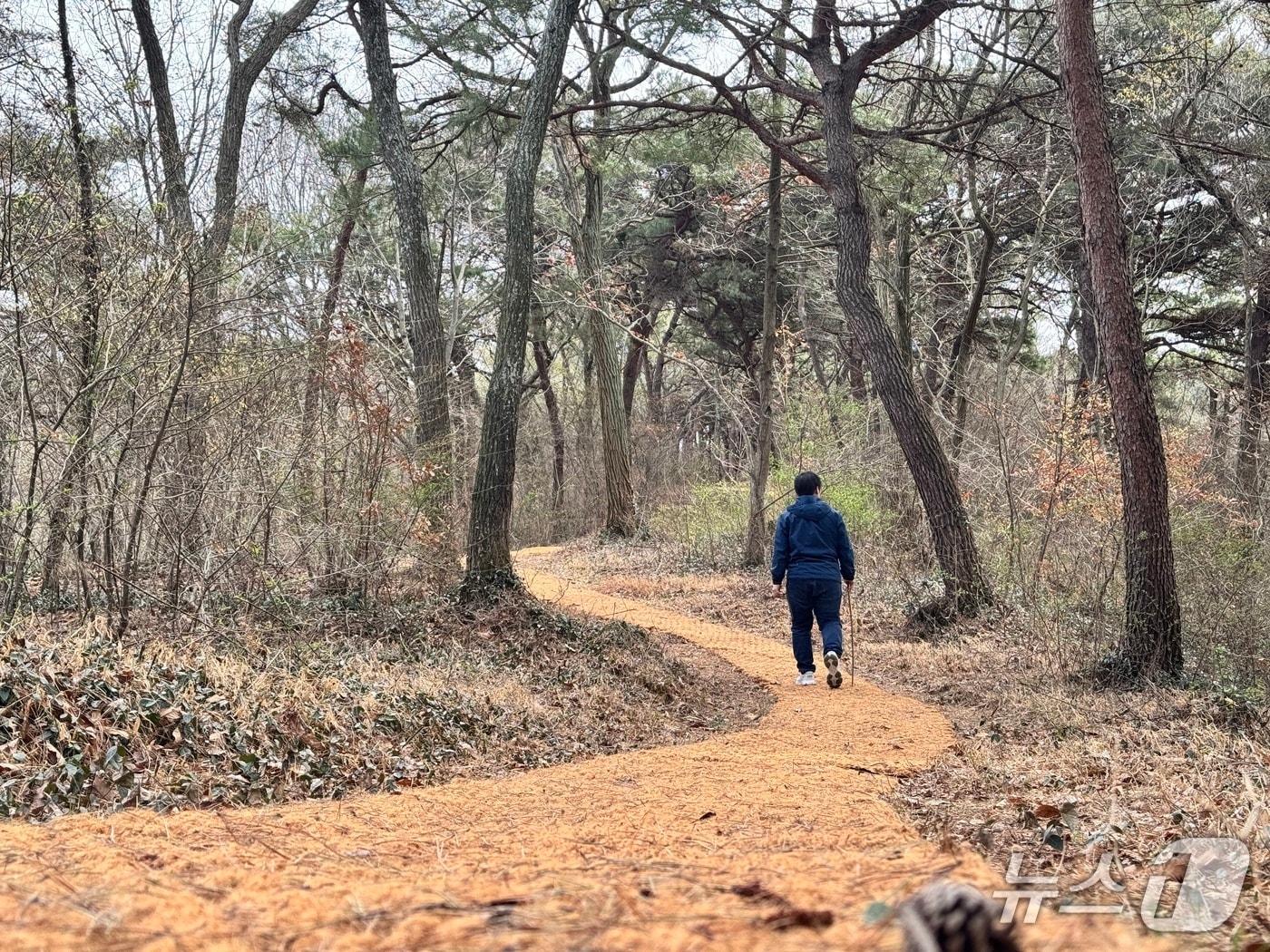 본문 이미지 -  고창군은 고창읍 월곡아파트 뒤편 주차장에서 공설운동장까지 이어지는 약 2.7㎞ 구간의 월곡숲길을 정비 완료했다.(고창군 제공. 재판매 및 DB금지)