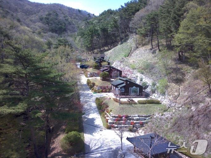 본문 이미지 - 함양군 산삼자연휴양림(함양군 제공. 재판매 및 DB금지).