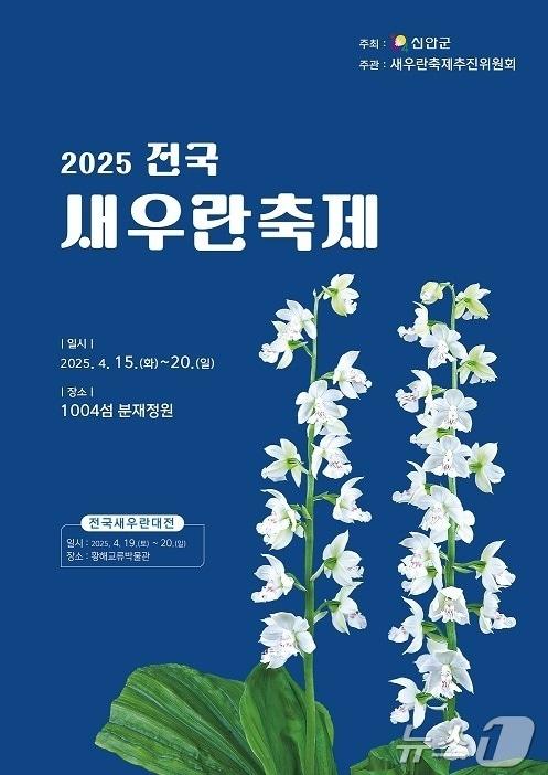 본문 이미지 - 2025 전국 새우란 축제 포스터 (신안군 제공. 재판매 및 DB금지) /뉴스1 