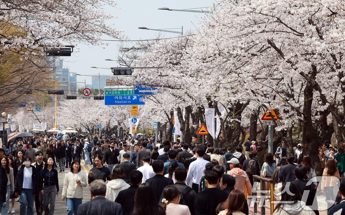 8일 서울 영등포구 여의도 윤중로에서 열리는 2025 여의도 봄꽃축제를 찾은 찾은 상춘객들이 벚꽃길을 걸으며 봄을 만끽하고 있다. 2025.4.8/뉴스1 ⓒ News1 김진환 기자