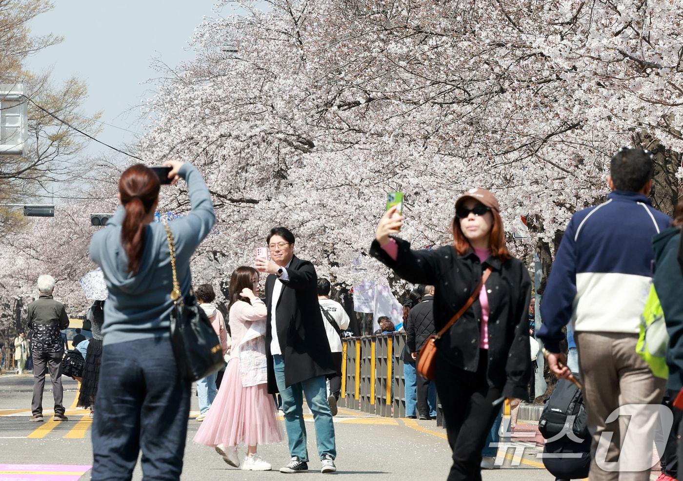 서울 영등포구 여의도 윤중로에서 열리는 2025 여의도 봄꽃축제를 찾은 찾은 상춘객들이 벚꽃길을 걸으며 봄을 만끽하고 있다. 2025.4.8/뉴스1 ⓒ News1 김진환 기자