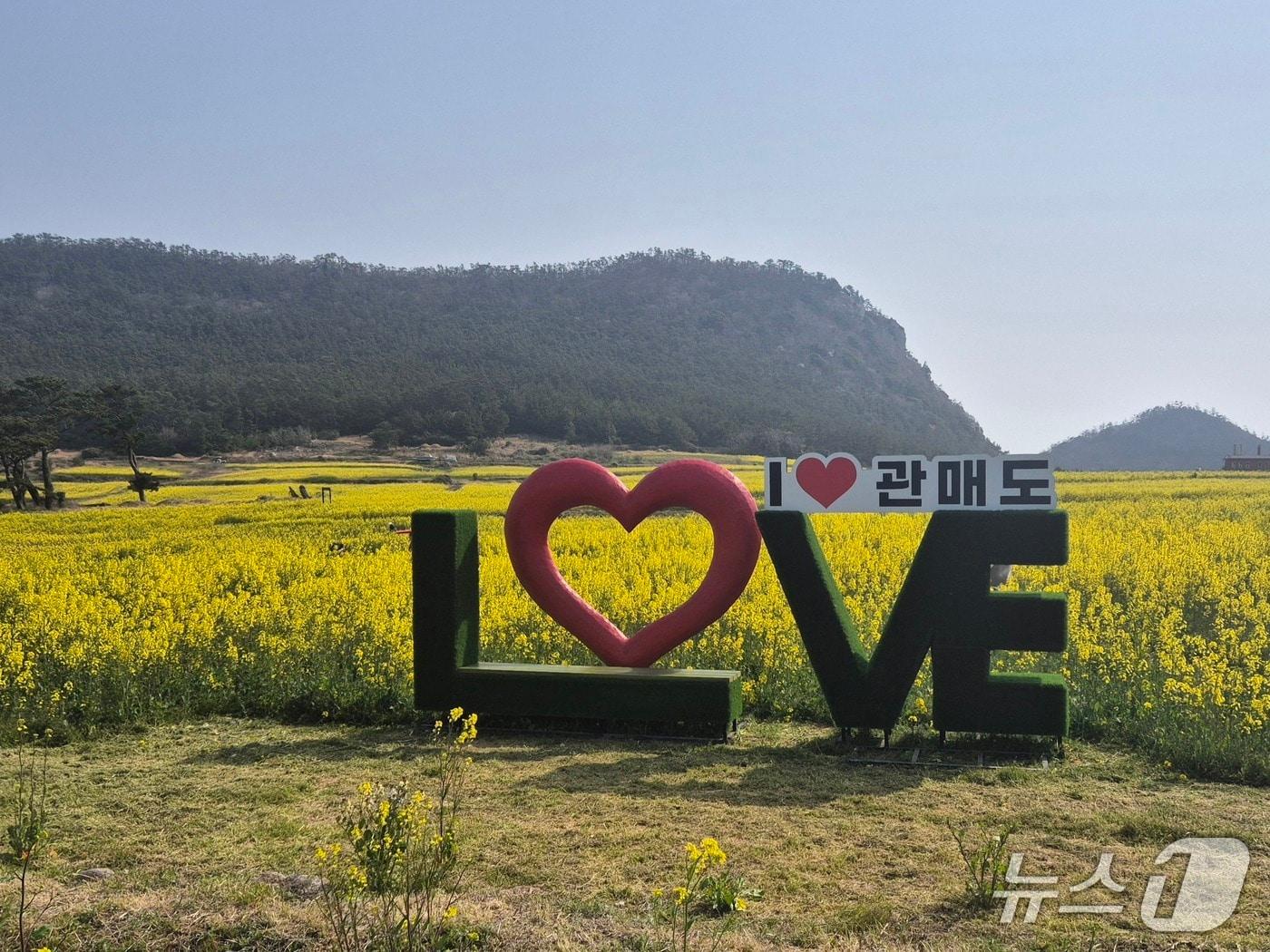 본문 이미지 - 관매도 유채꽃 축제장의 포토존 .2025.4.8/뉴스1 ⓒ News1 조영석 기자  
