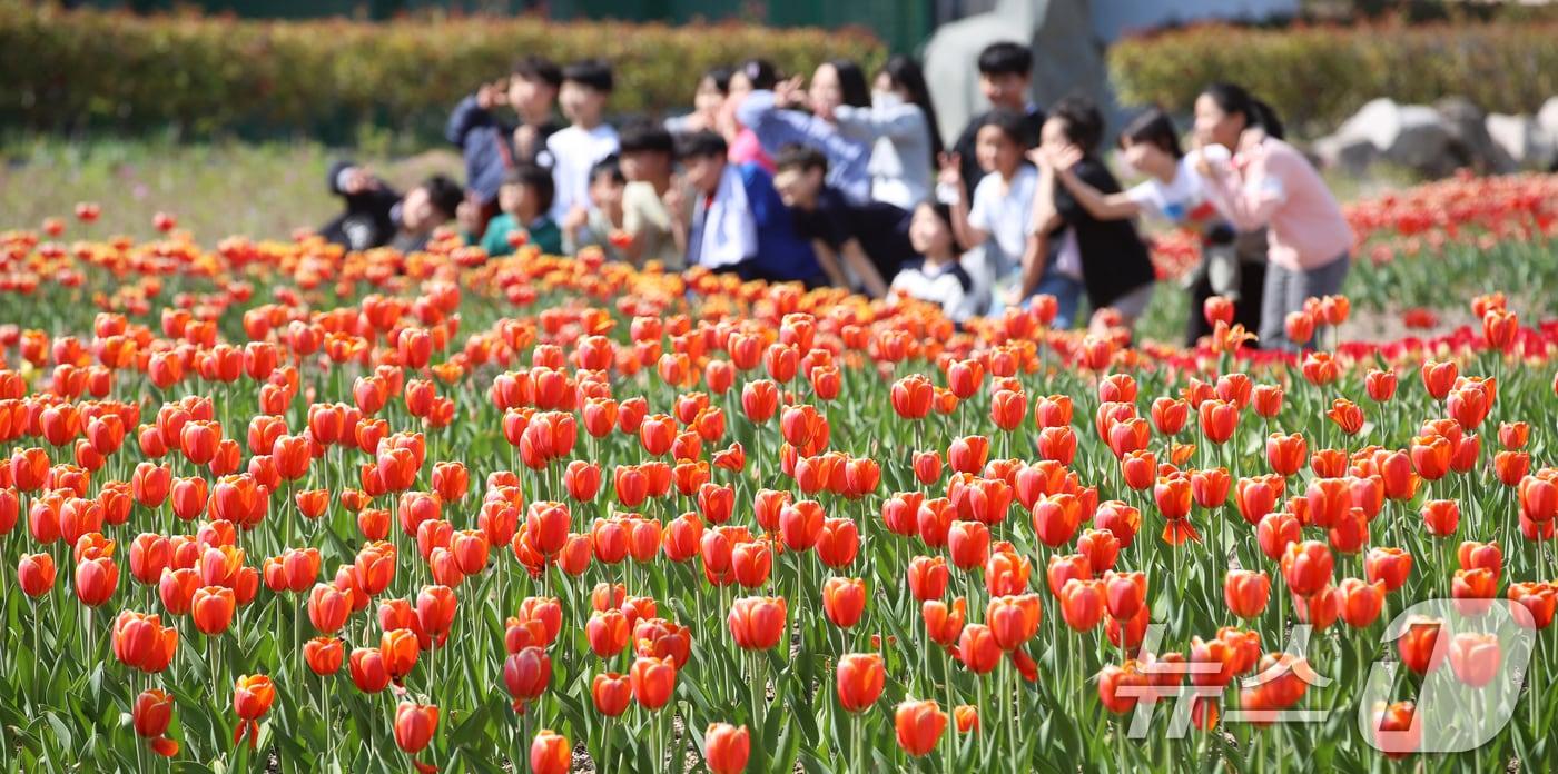포근한 봄 날씨를 보인 8일 오후 부산 북구 화명생태공원을 찾은 어린이들이 활짝 핀 튤립을 보며 즐거운 시간을 보내고 있다. 2025.4.8/뉴스1 ⓒ News1 윤일지 기자