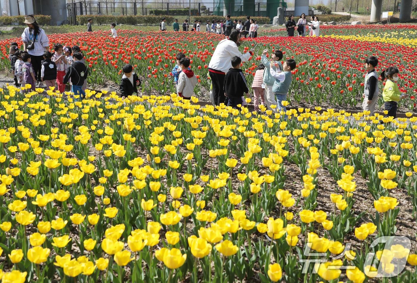 부산 북구 화명생태공원을 찾은 어린이들이 활짝 핀 튤립을 보며 즐거운 시간을 보내고 있다. 2025.4.8/뉴스1 ⓒ News1 윤일지 기자