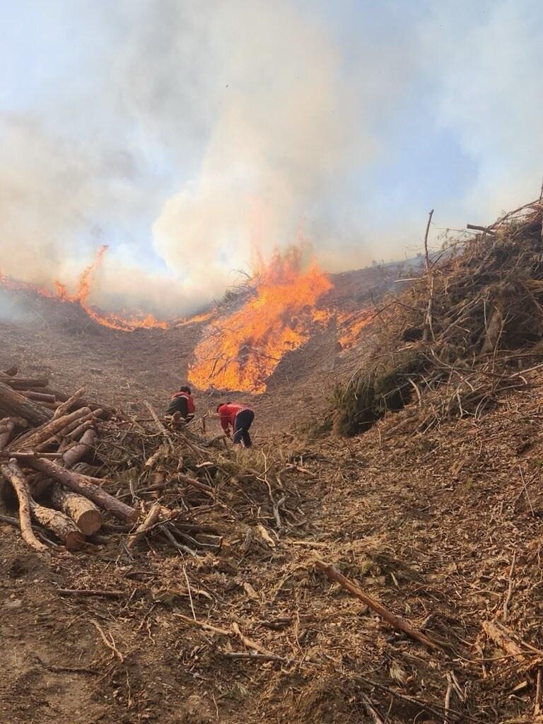 본문 이미지 - 산불 현장(영동소방서 제공. 재판매 및 DB금지)