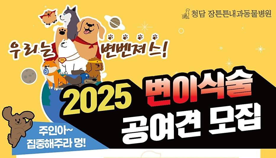 본문 이미지 - '2025 변이식술 공여견' 모집 안내문(청담장튼튼내과동물병원 제공) ⓒ 뉴스1