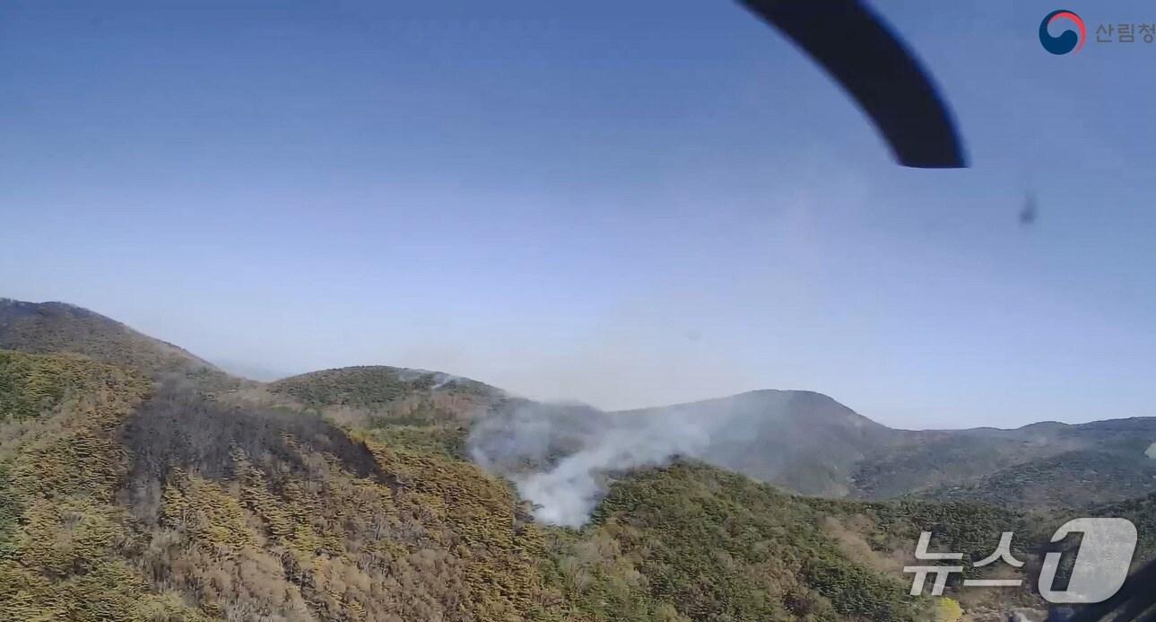 본문 이미지 - 산청 산불 현장&#40;산림청 제공. 재판매 및 DB금지&#41;. 2025.4.8
