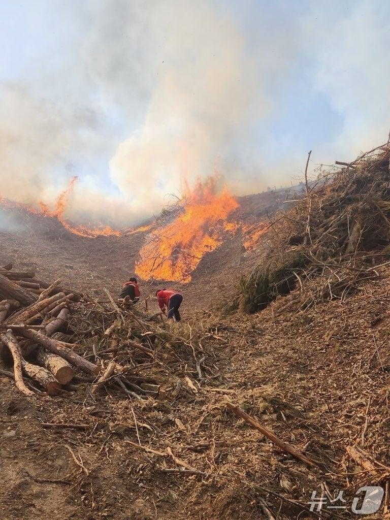 본문 이미지 - 충북 영동 임계리 산불 현장.(영동소방서 제공, 재판매 및 DB금지)/뉴스1