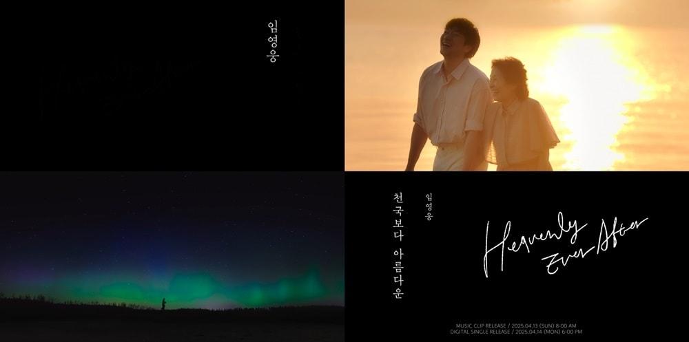 본문 이미지 - 임영웅(물고기뮤직 제공)