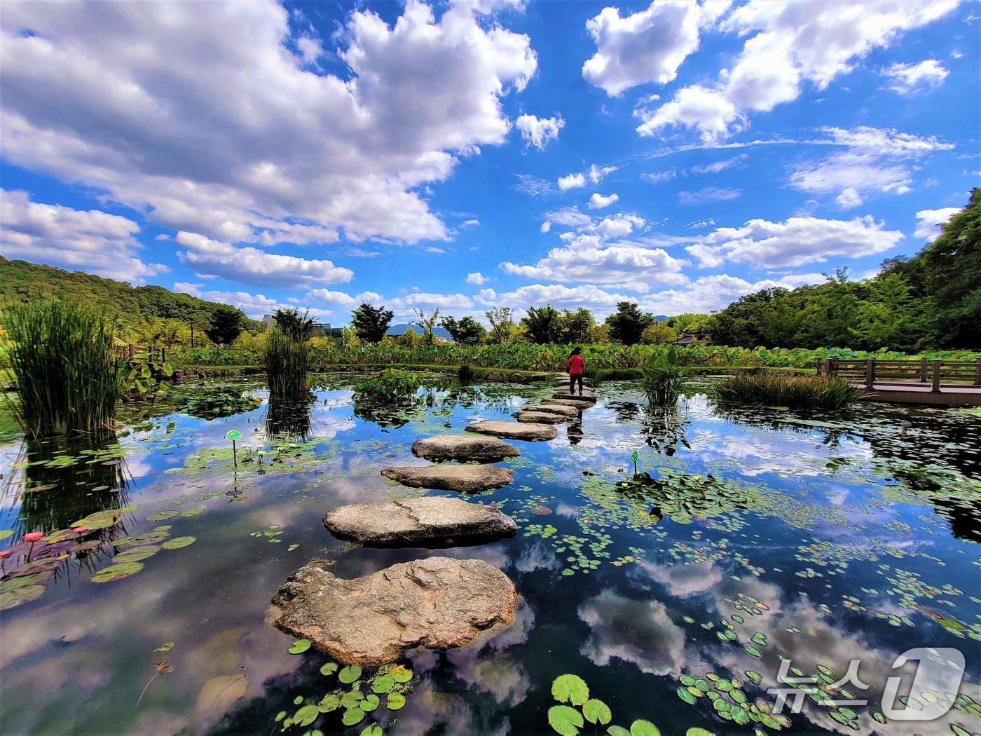 본문 이미지 - 함양 상림공원&#40;함양군 제공. 재판매 및 DB금지&#41;.