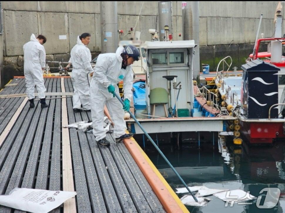 본문 이미지 - 지난 5일 완도해양경찰은 완도 해상에서 선저폐수 방제작업을 실시하고 있다.(완도해경 제공. 재판매 및 DB 금지)
