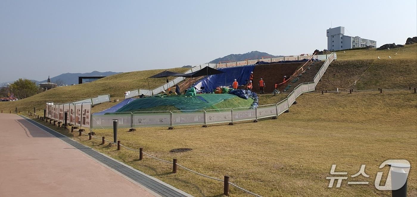 김해시가 11~13일 가야문화축제 기간 동안 대성동고분군 발굴현장을 공개한다. 사진은 발굴 현장 모습.(김해시 제공. 재판매 및 DB금지)