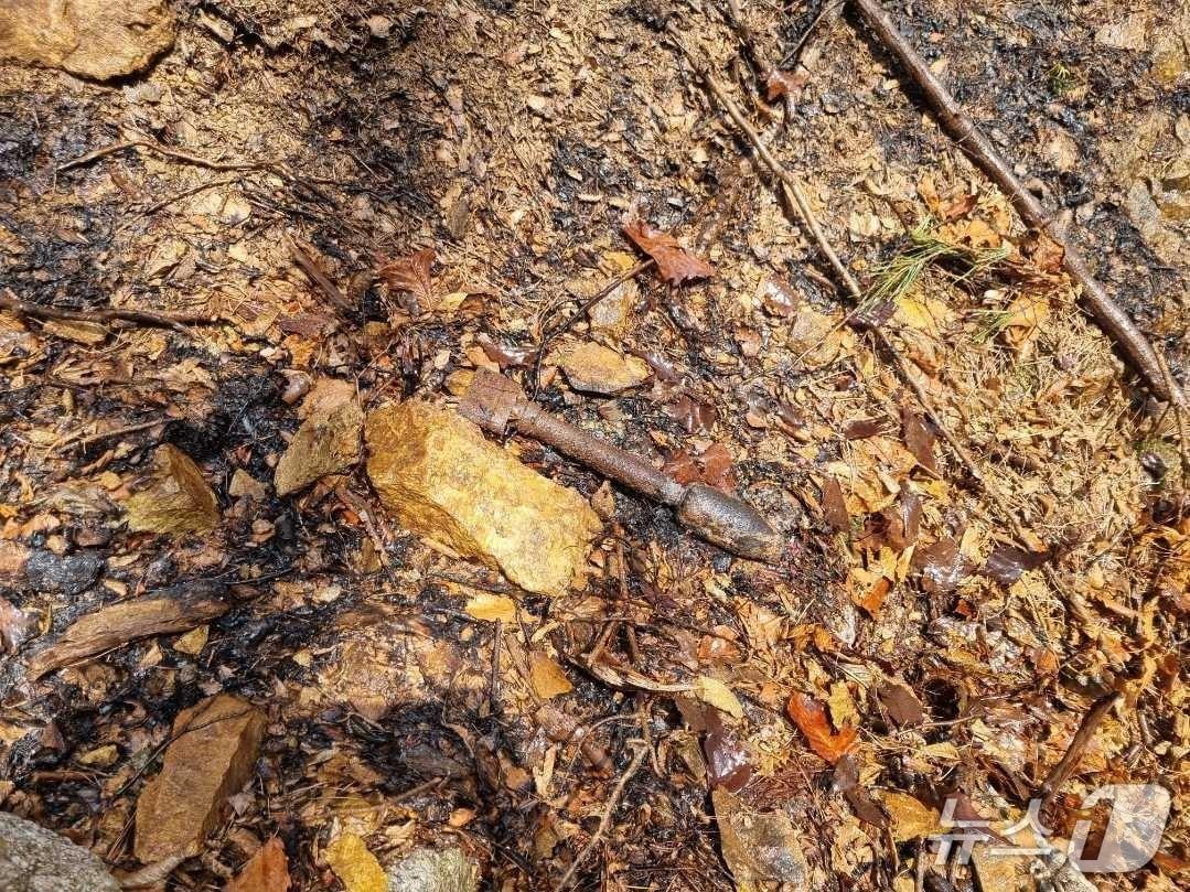 본문 이미지 - 지난 7일 강원 강릉 성산면 어흘리 산불 현장에서 발견된 백린탄 불발탄.(강원도 제공, 재판매 및 DB 금지) 2025.4.9/뉴스1