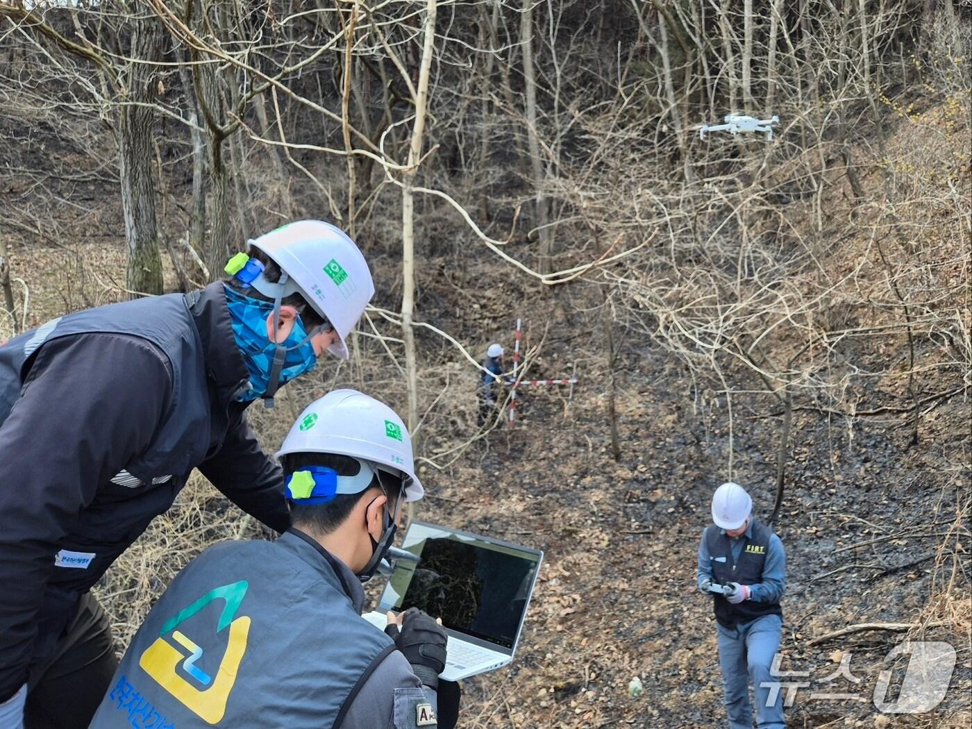 본문 이미지 -  지난 3월 경북 의성산불 피해지를 긴급진단하는 산림청 관계자들(산림청 제공) /뉴스1