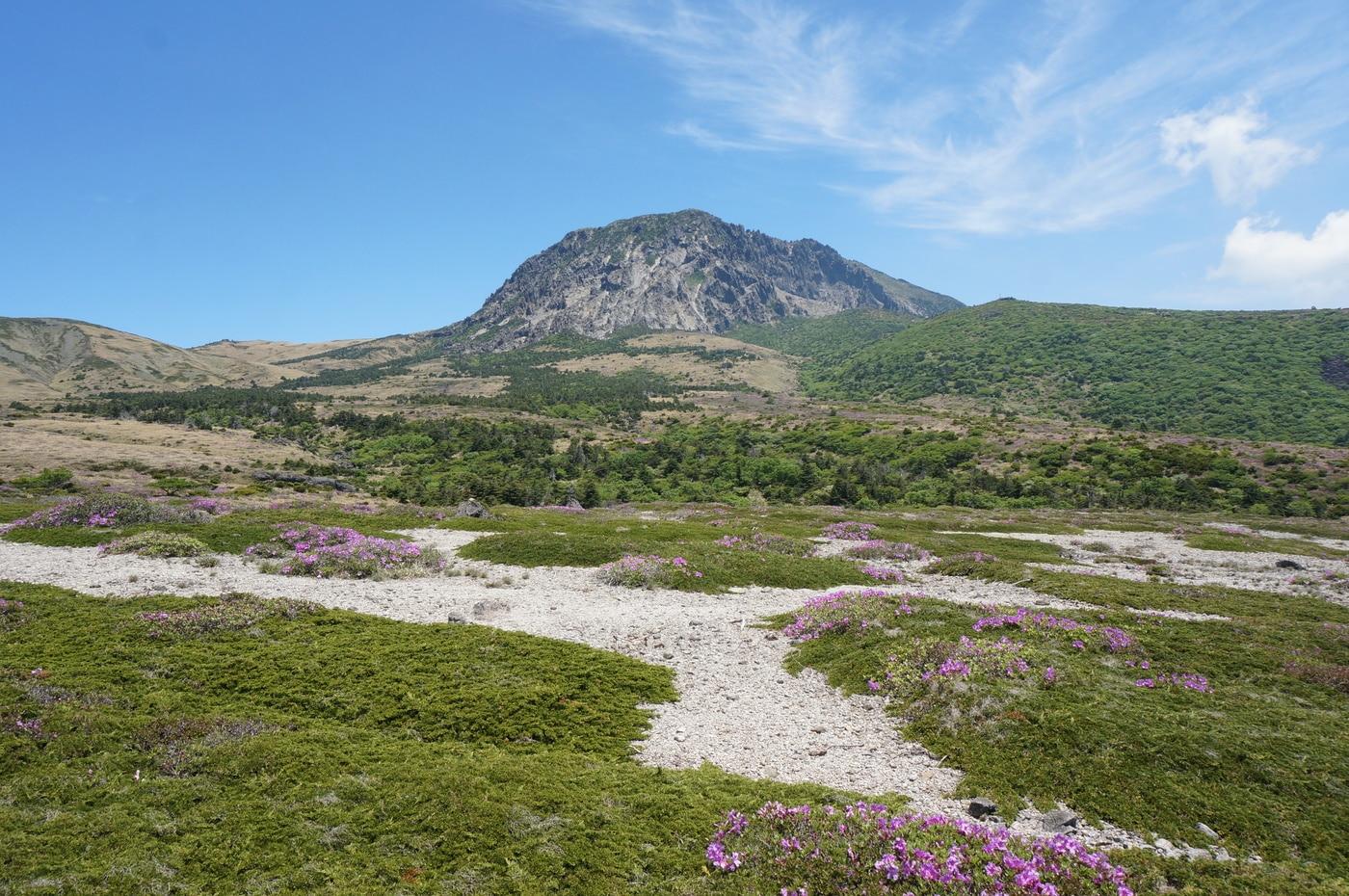 본문 이미지 - '한라산 모세왓 유문암질 각력암지대'(국가유산청 제공)