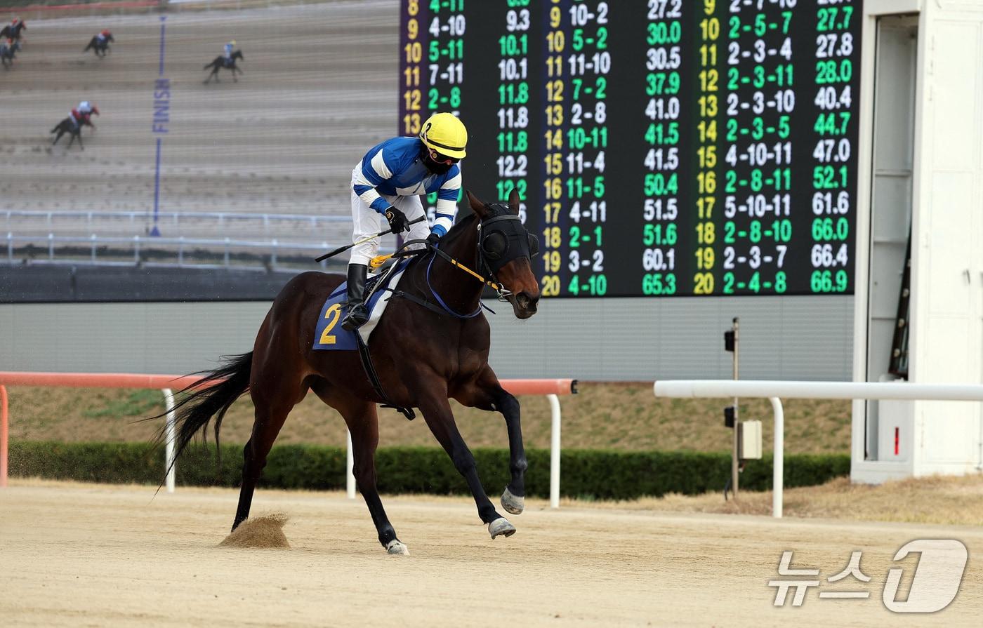 판타스틱밸류 경주 모습(렛츠런파크 부산경남 제공. 재판매 및 DB 금지)
