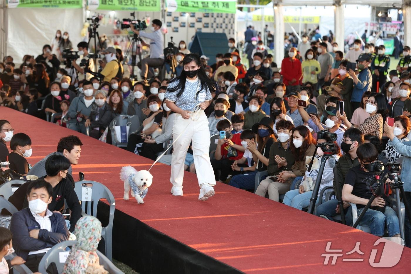 오는 3일 반려동물 문화대축제인 ‘오수 의견문화제와 함께하는 2025 임실N펫스타’가 개막한다.(임실군제공. 재판매 및 DB금지)2025.5.1/뉴스1