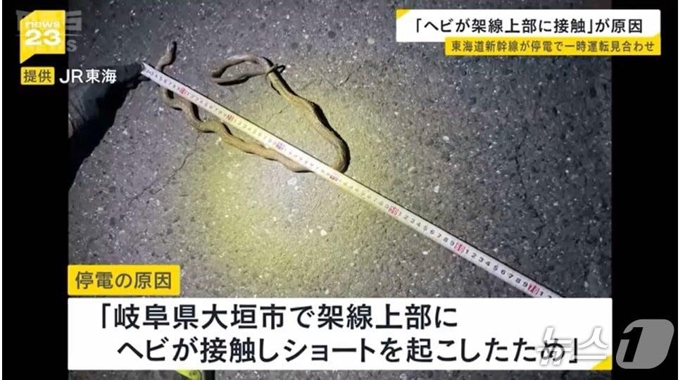 본문 이미지 - 일본 도카이도(東海道) 신칸센의 일부 구간에 30일 오후 정전이 발생해 1시간 반 정도 일부 구간 운행이 중단됐다. JR 도카이는 선로 내 가선에 뱀이 접촉해 합선이 발생한 것이 원인이라고 발표했다. <MBS뉴스 화면 캡처>