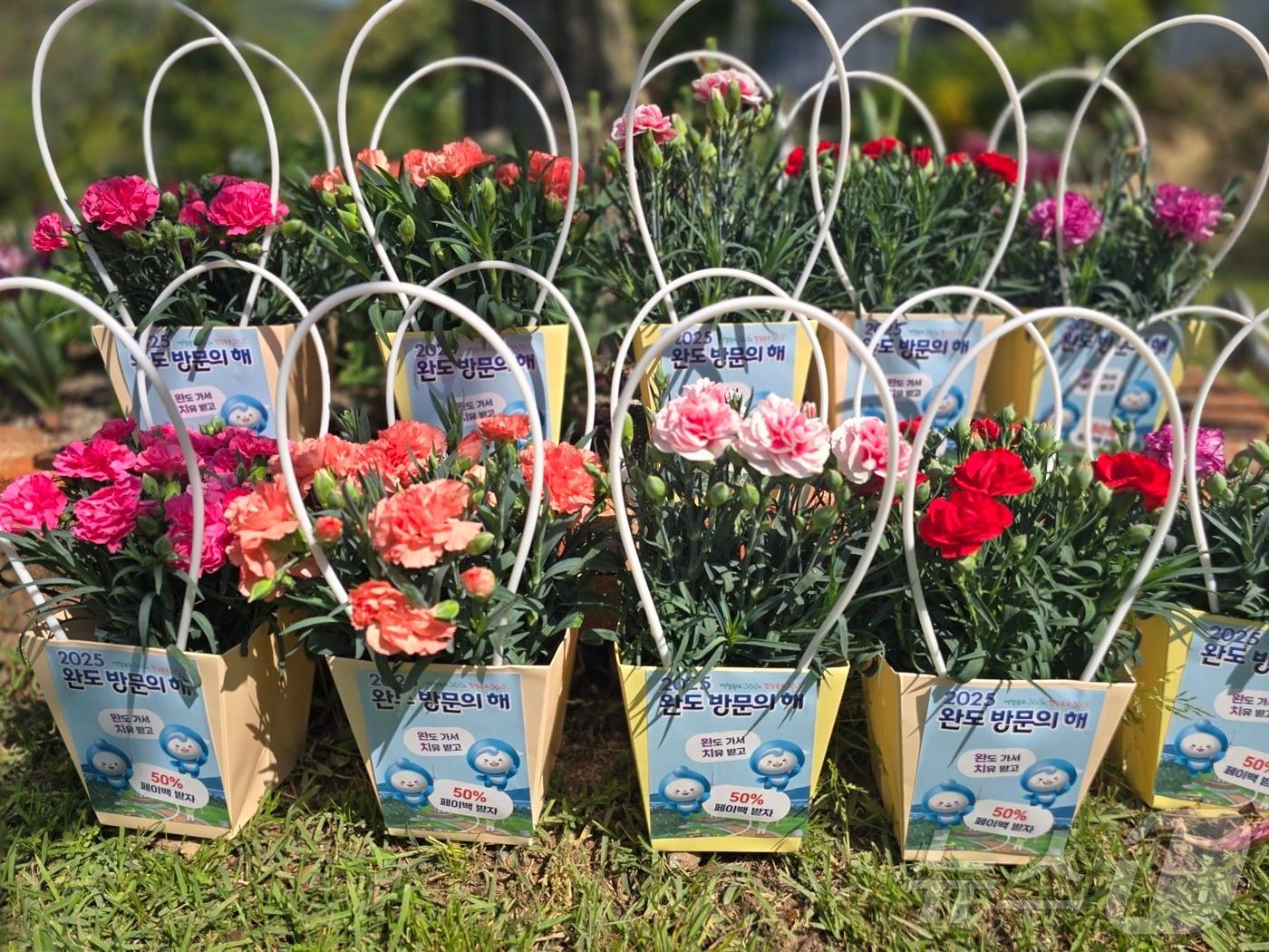 본문 이미지 - 완도군, 부모님과 함께하는 치유 여행 이벤트 카네이션 증정 (완도군 제공. 재판매 및 DB금지) /뉴스1 