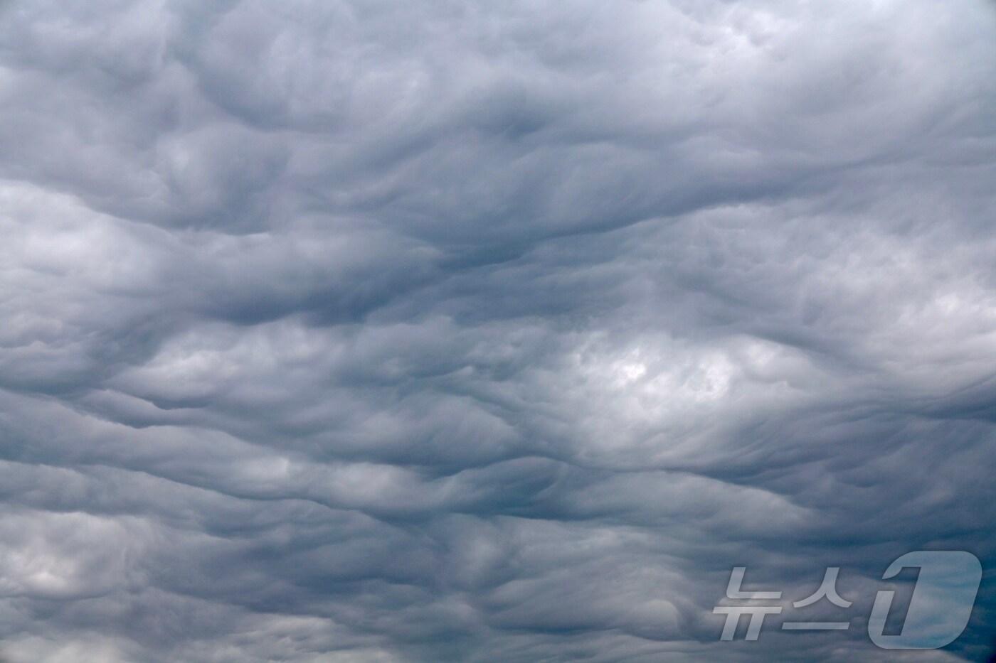 (사진은 기사 내용과 무관함) / 뉴스1 ⓒ News1