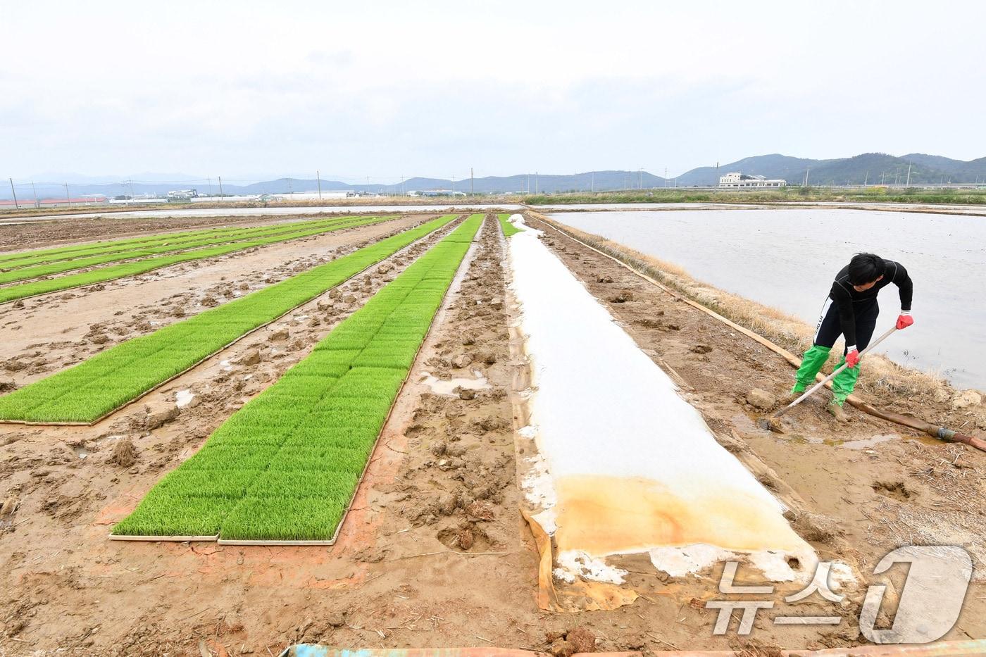 자료사진/뉴스1