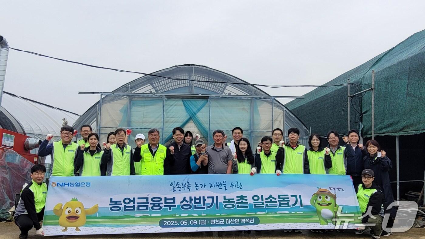 본문 이미지 - 농협은행 농업금융부 및 임진농협 임직원들이 지난 9일 경기도 연천군 소재 토마토 농가를 찾아 일손돕기 후 기념촬영을 하고 있다.(농협은행 제공)