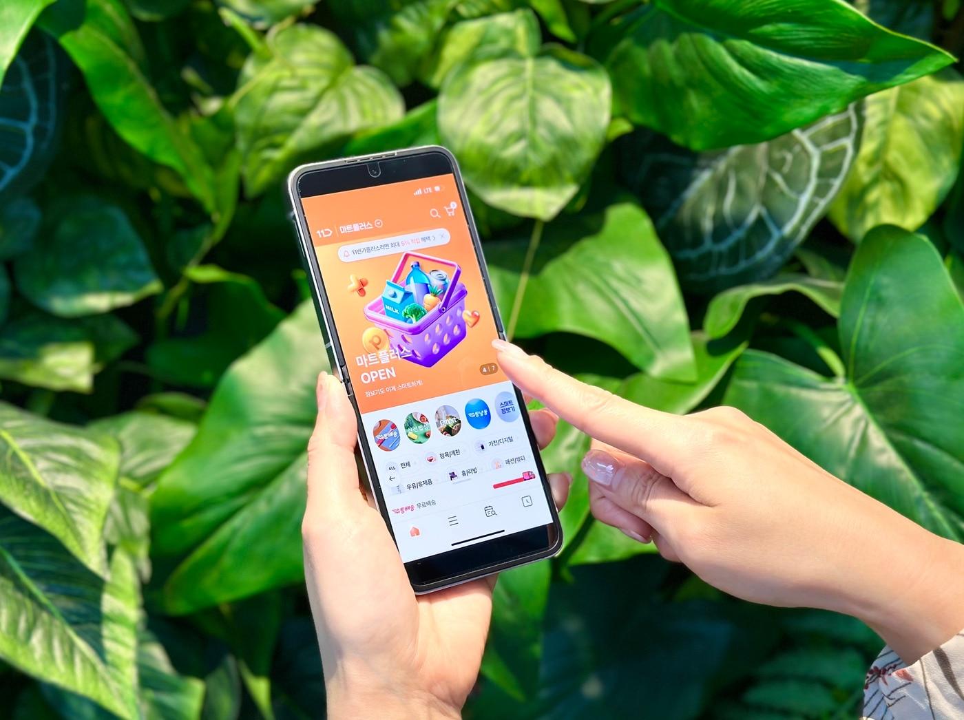 본문 이미지 - (11번가 제공)