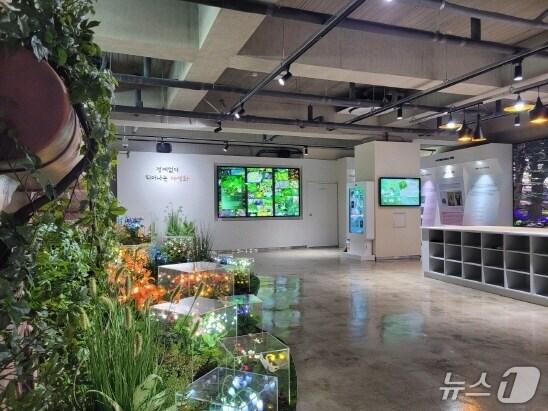 본문 이미지 - 12일 개관한 파주시 금촌어울림센터 내 'DMZ 야생화체험관' (파주시 제공, 재판매 및 DB금지)