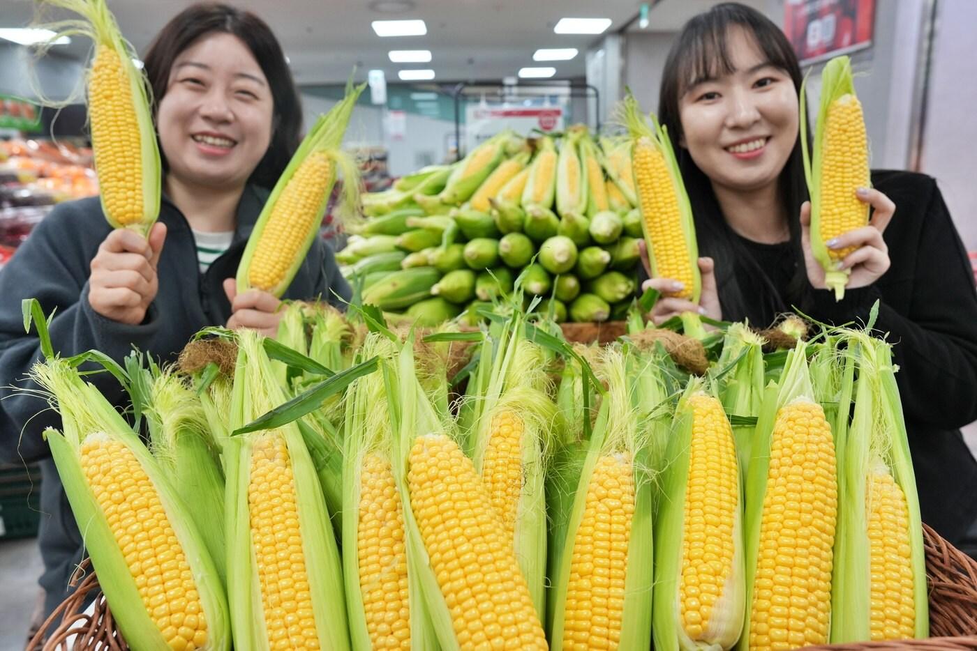 (롯데마트와 슈퍼 제공).
