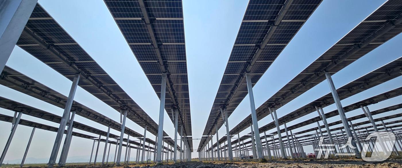 지난 8일 영광군에 1㎿ &#39;영농형 태양광 시스템&#39;이 준공됐다. 주민주도형 태양광발전사업인 영광군 영농형태양광을 통해 월평마을 28가구는 각각 매월 11만 8000원씩 연간 142만원의 햇빛연금을 지급받게 된다.&#40;파루 제공&#41;