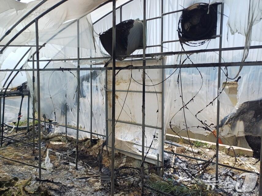 본문 이미지 - 논산 연무읍 비닐하우스 화재 현장. (논산소방서 제공, 재판매 및 DB금지) / 뉴스1 