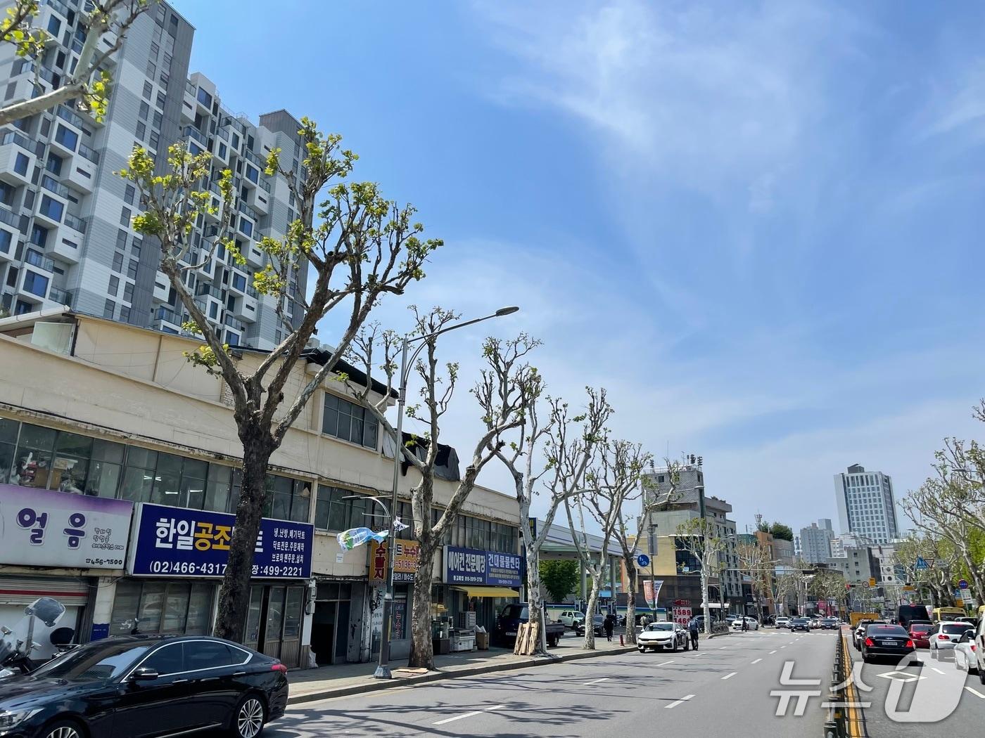 본문 이미지 -  (서울 광진구 제공) 