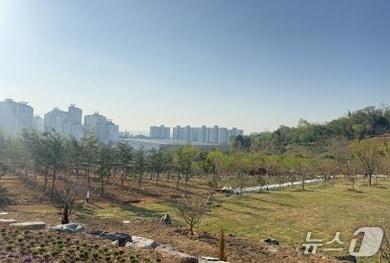 본문 이미지 - 군산시 수송동 새들공원 내에 조성된 '새들허브숲'(군산시 제공, 재판매 및 DB금지)