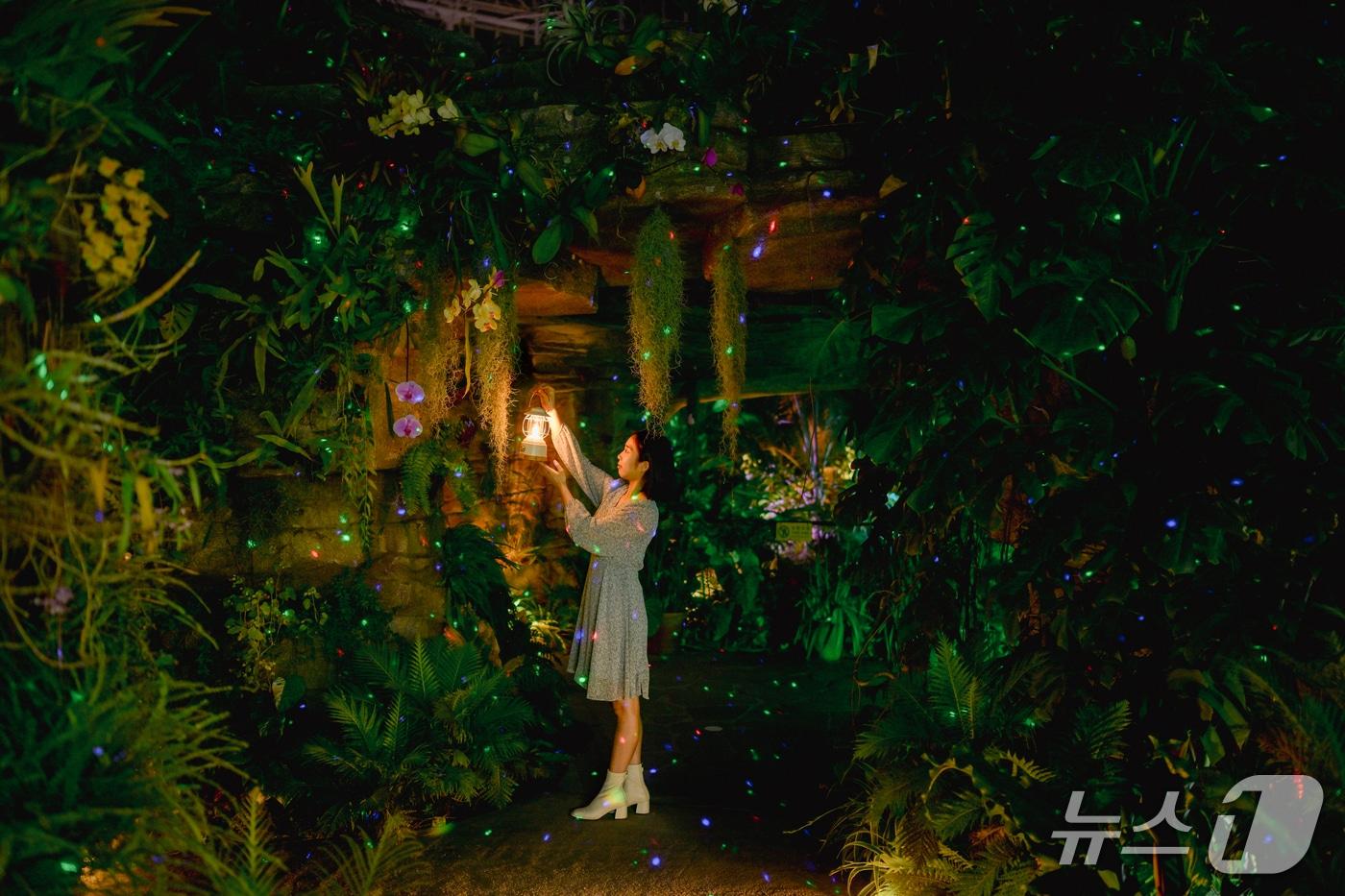 본문 이미지 - 국립세종수목원 열대온실 (한국수목원정원관리원 제공.재판매 및 DB금지) /뉴스1