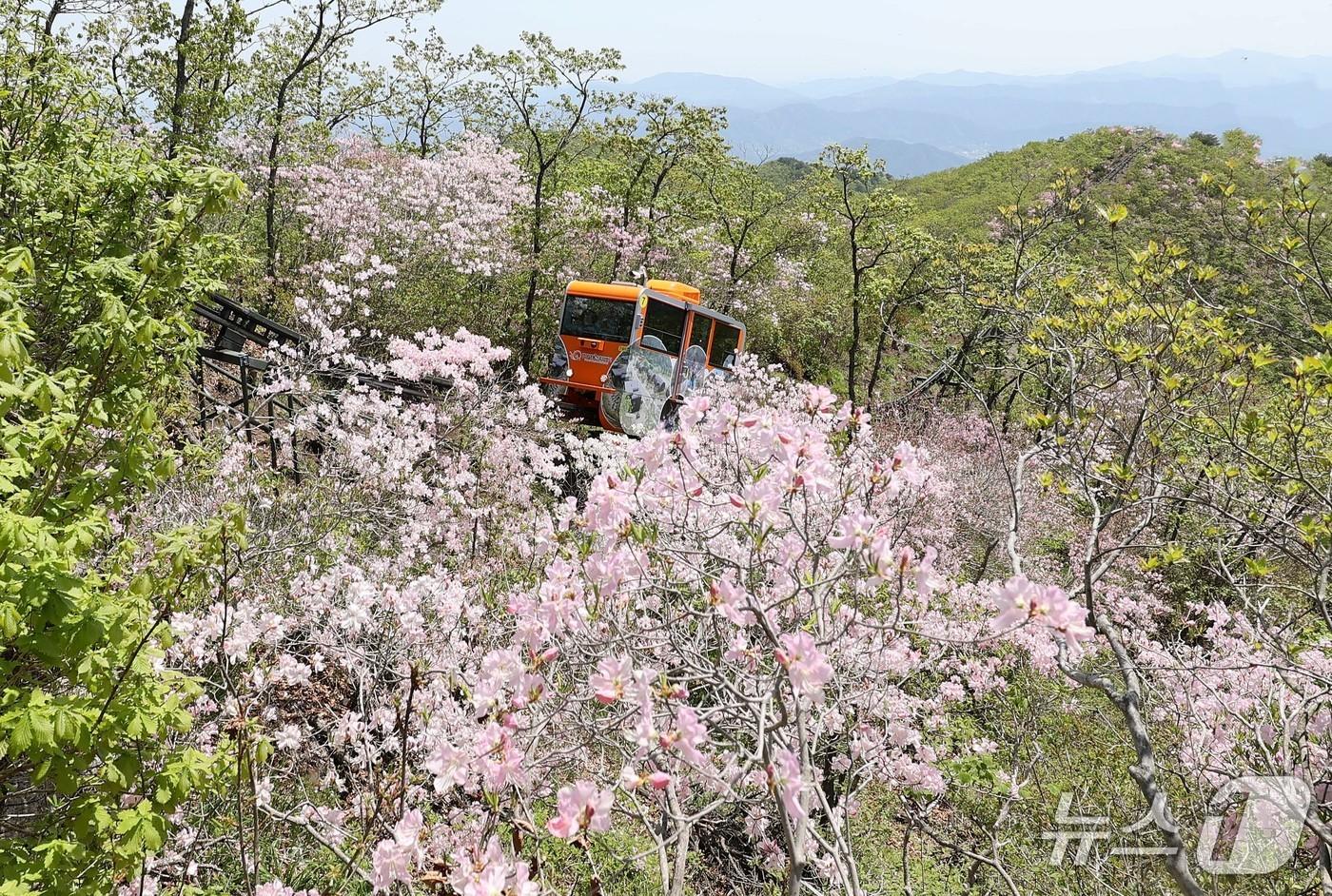 함양군 대봉스카이랜드 모노레일&#40;함양군 제공. 재판매 및 DB금지&#41;.