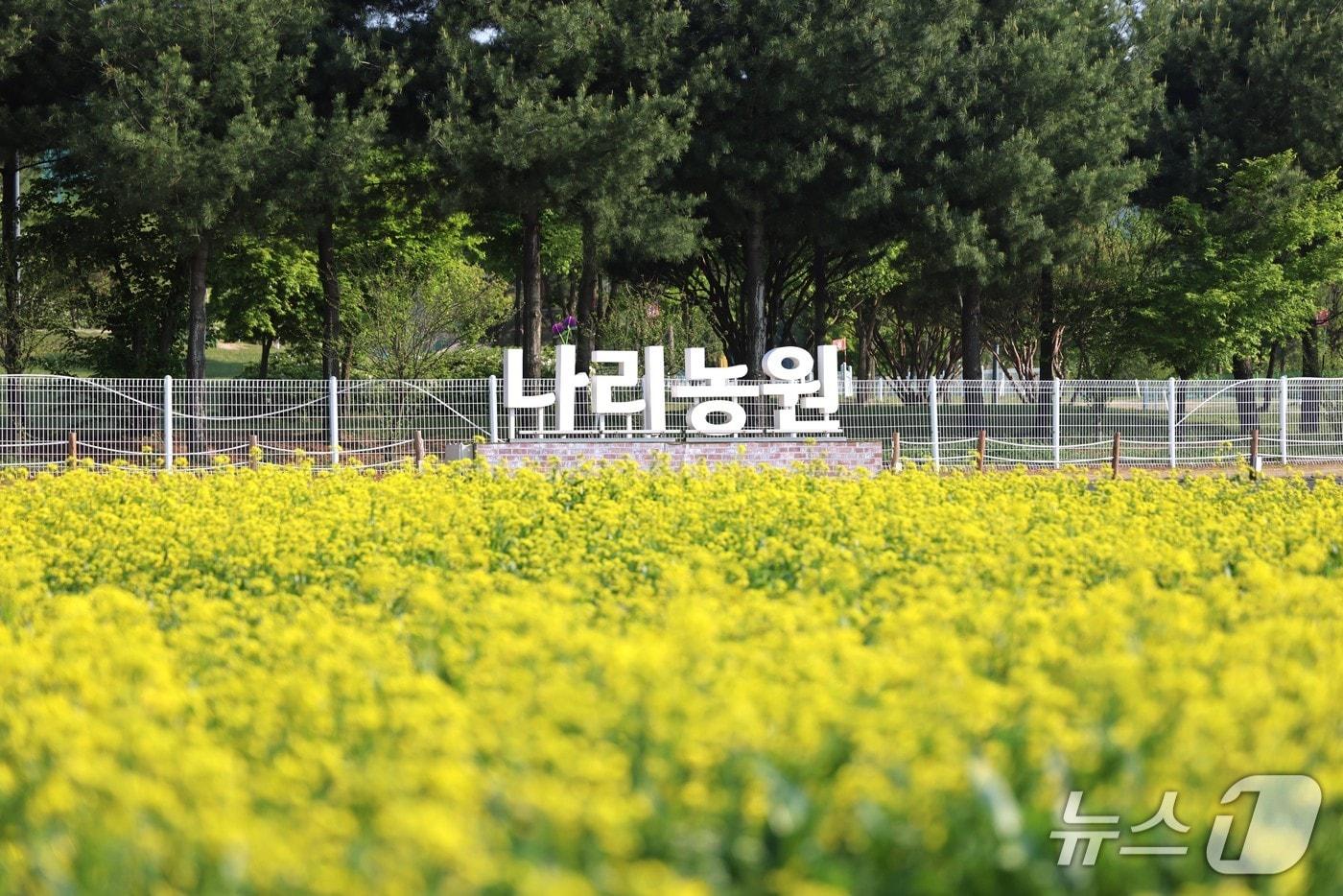 경기 양주시 나리농원 (양주시 제공. 재판매 및 DB금지) 2025.5.14/뉴스1