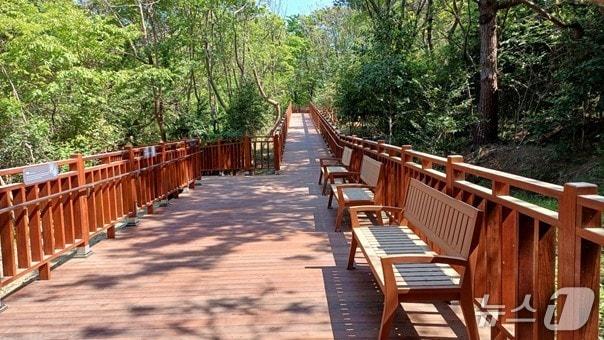 본문 이미지 - 이기대공원 숲속산책길(부산시청 제공. 재판매 및 DB 금지)