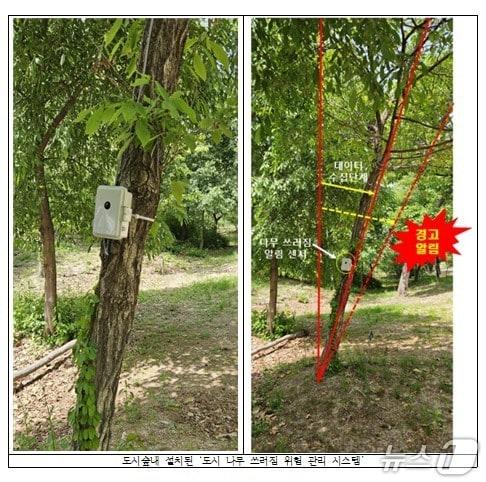 본문 이미지 - (산림청 국립산림과학원 제공.재판매 및 DB금지)/뉴스1