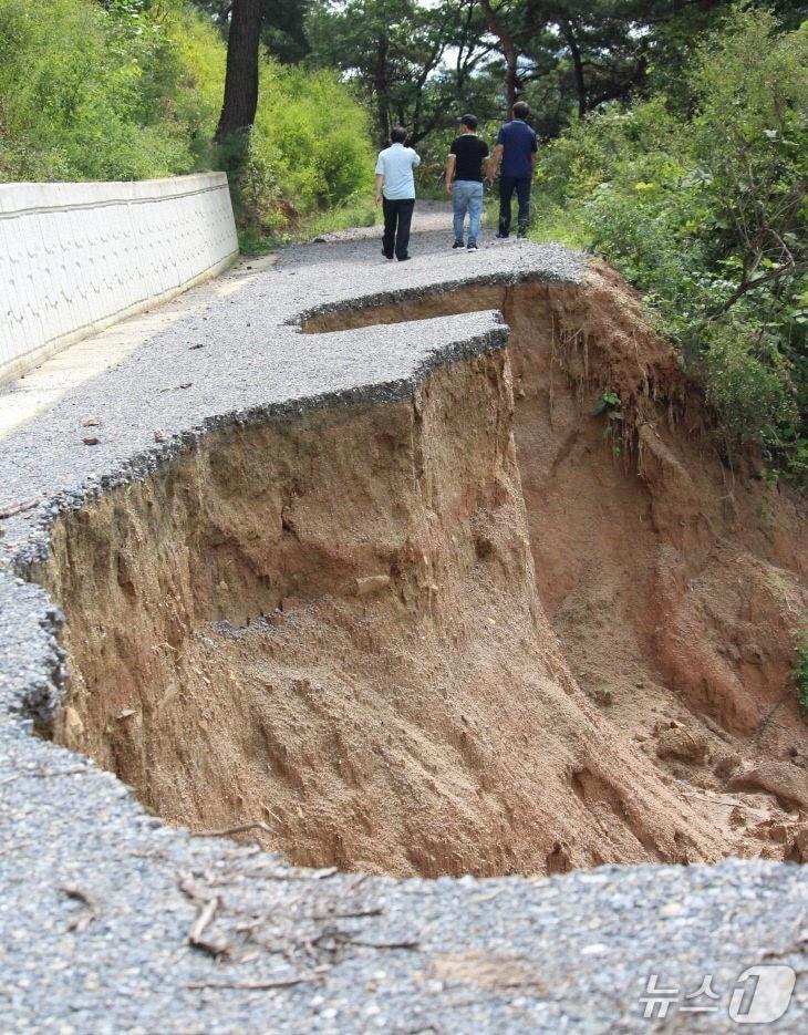본문 이미지 - 2020년 8월 제천시 금성면 월림리 산림 호우 피해 현장./뉴스1